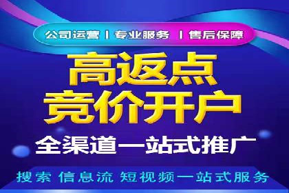 某电商平台的SEM广告投放全流程解析